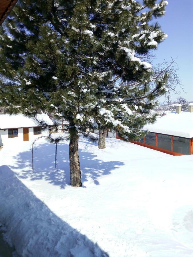 Bolyarski Stan Guest House Veliki Preslav Exterior photo